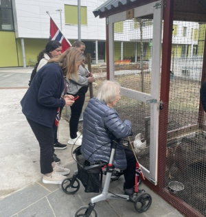 Nye høner til Lambertseter sykehjem!